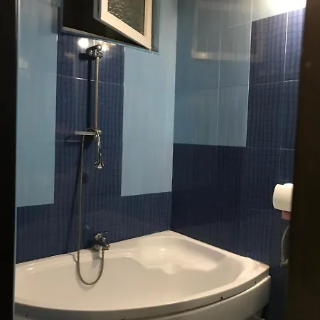 Guest house Pensiunea Exotic Pielestii