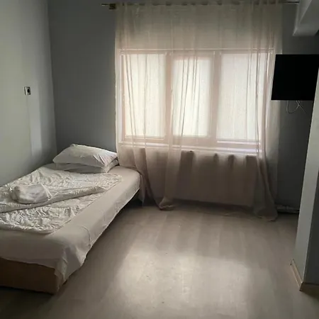 Pensiunea Exotic Guest house