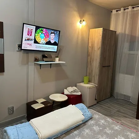 Pensiunea Exotic Guest house